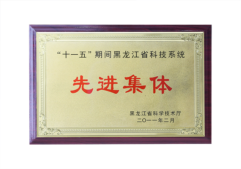 “十一五”期間黑龍江省科技系統(tǒng)——先進集體