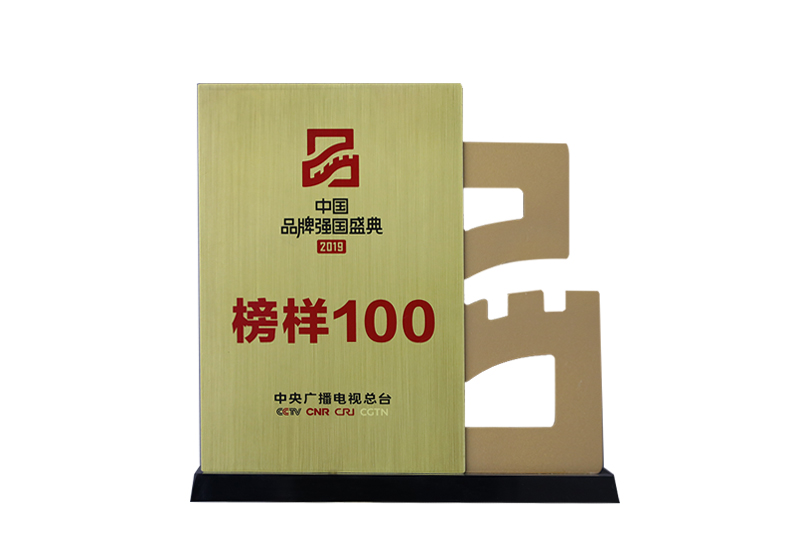 中國品牌強國盛典2019榜樣100——中央廣播電視總臺CCTVCNRCRJ