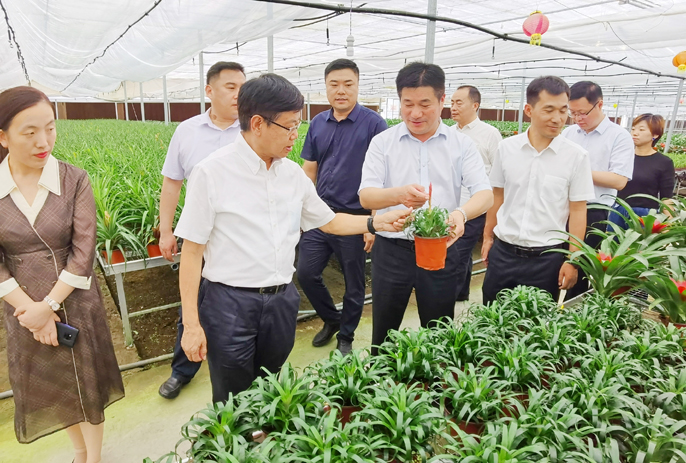 劉明忠一行赴安徽泗縣開展鄉(xiāng)村振興幫扶對接調(diào)研工作