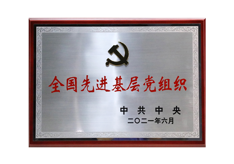全國先進基層黨組織——中共中央